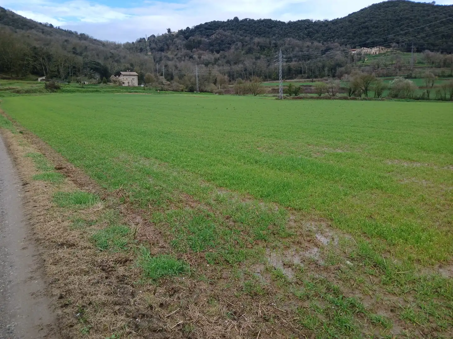 Terreny rústic en venda a Sant Joan Les Fonts, imagen 13