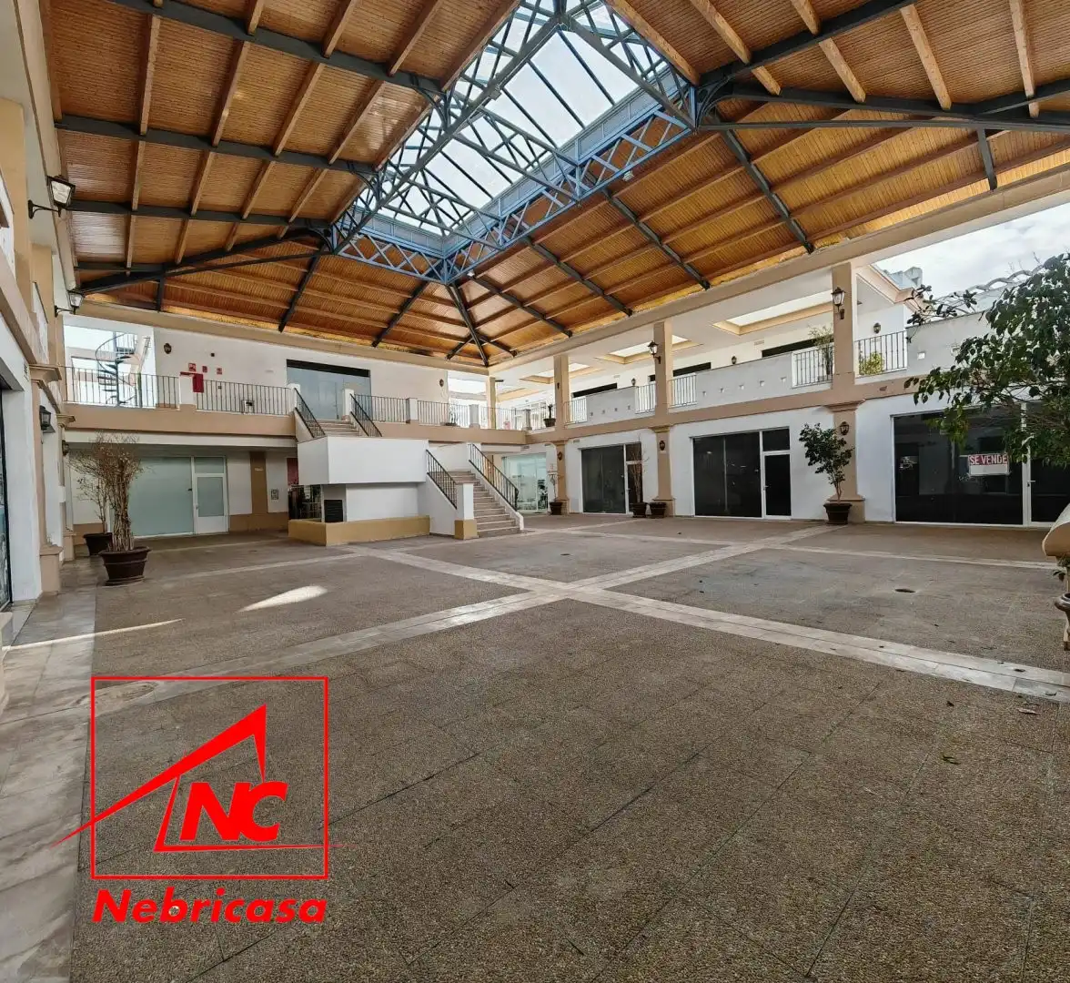 Local de lloguer en Rota amb Aire condicionat