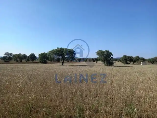 Rural land for sale in Fuente Obejuna, imagen 48