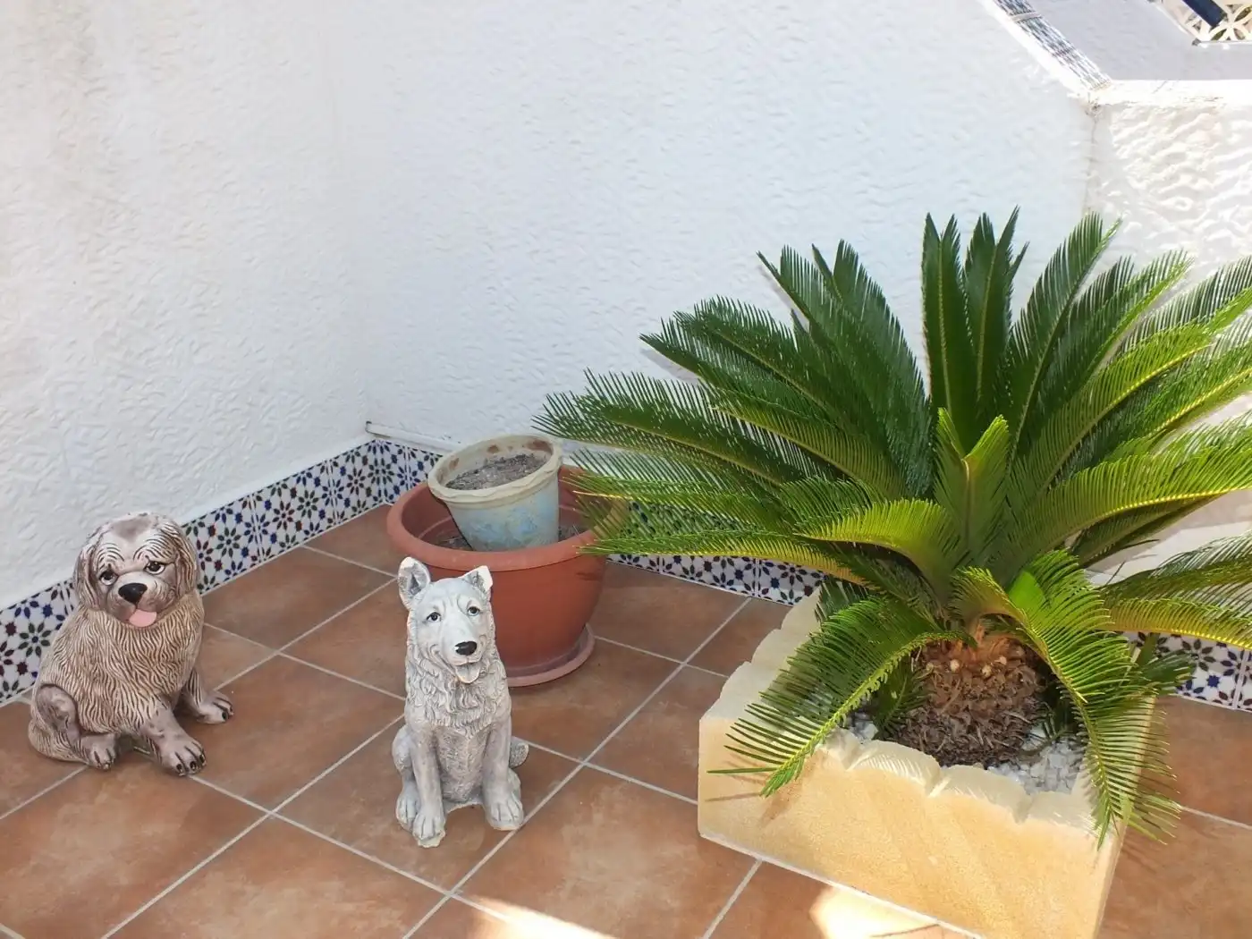 Jardí de Casa o xalet en venda en Santa Pola amb Aire condicionat, Calefacció i Jardí privat