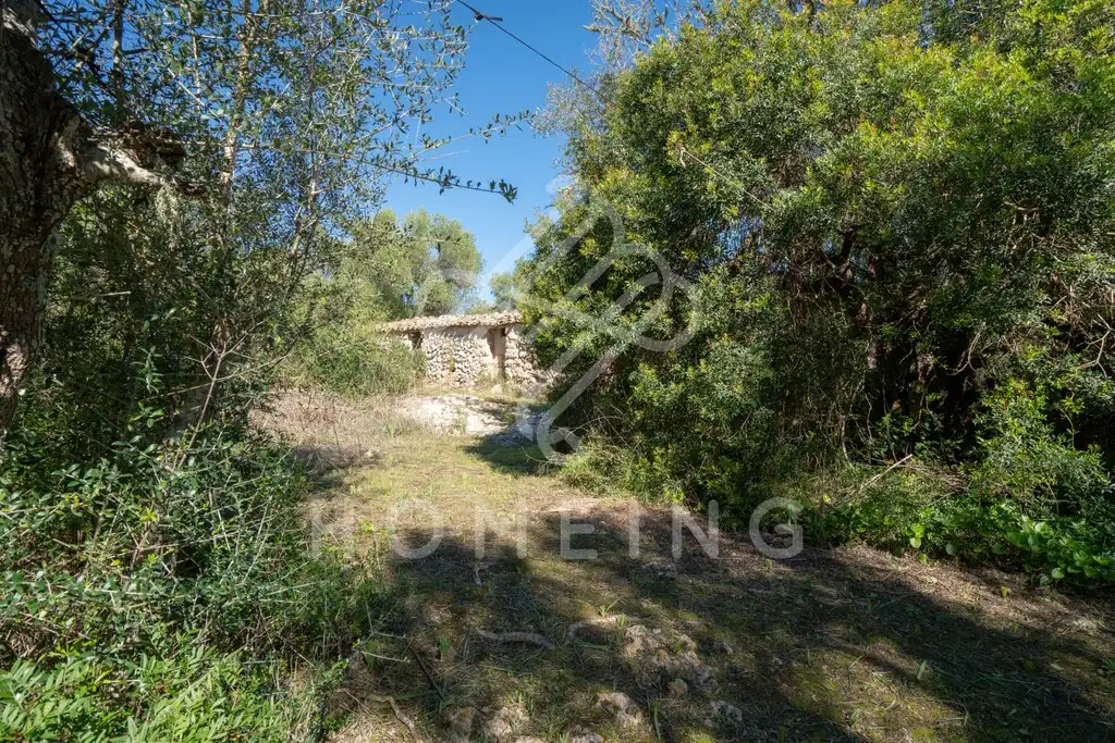 Country house with garden for sale in Costitx, imagen 22