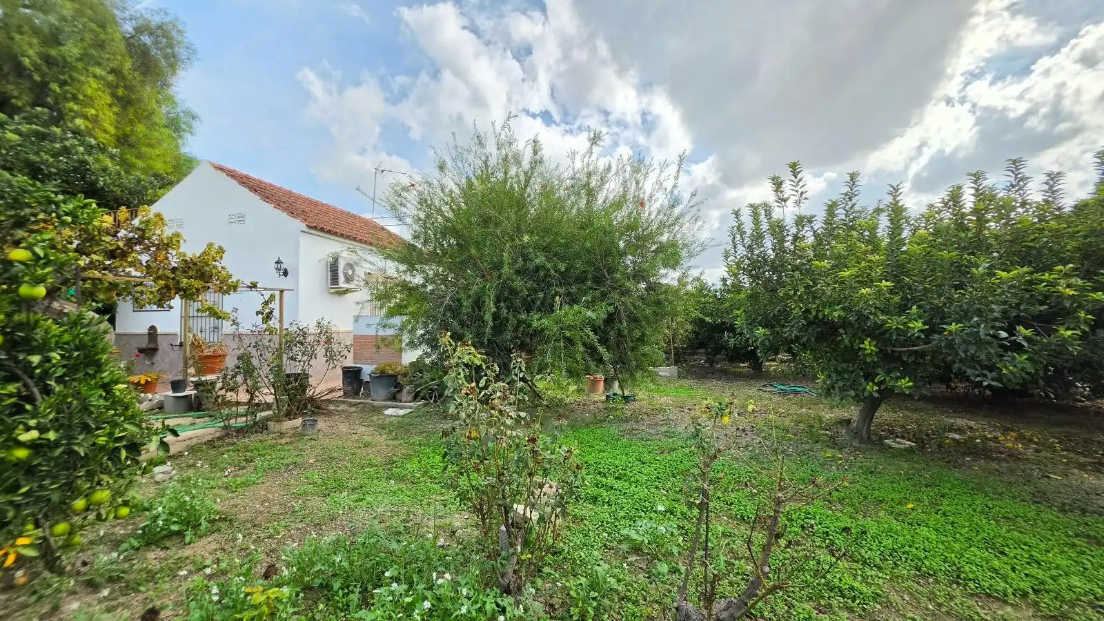 Finca rústica en venta en Ceutí