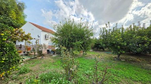 SE VENDE CASA RUSTICA EN ZONA  LOS TORRAOS CEUTI, imatge 2