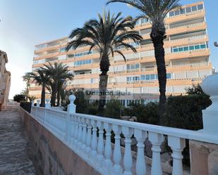 Vista exterior de Apartament en venda en Torrevieja amb Terrassa i Moblat