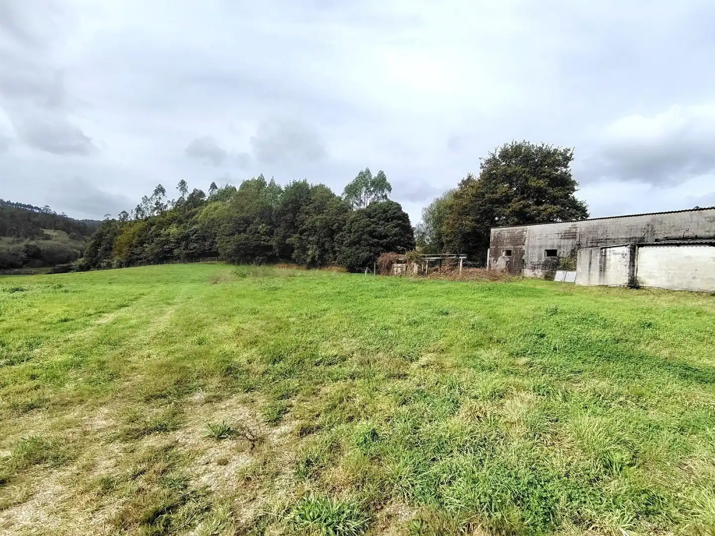 Country homes for sale in Negreira