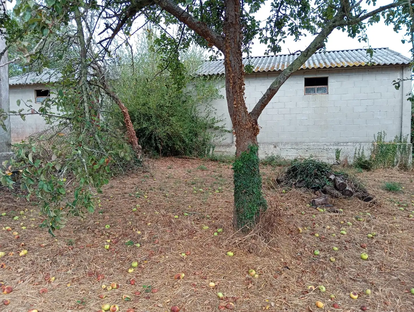 Casa en venda a Muiño Seco 10, imagen 18