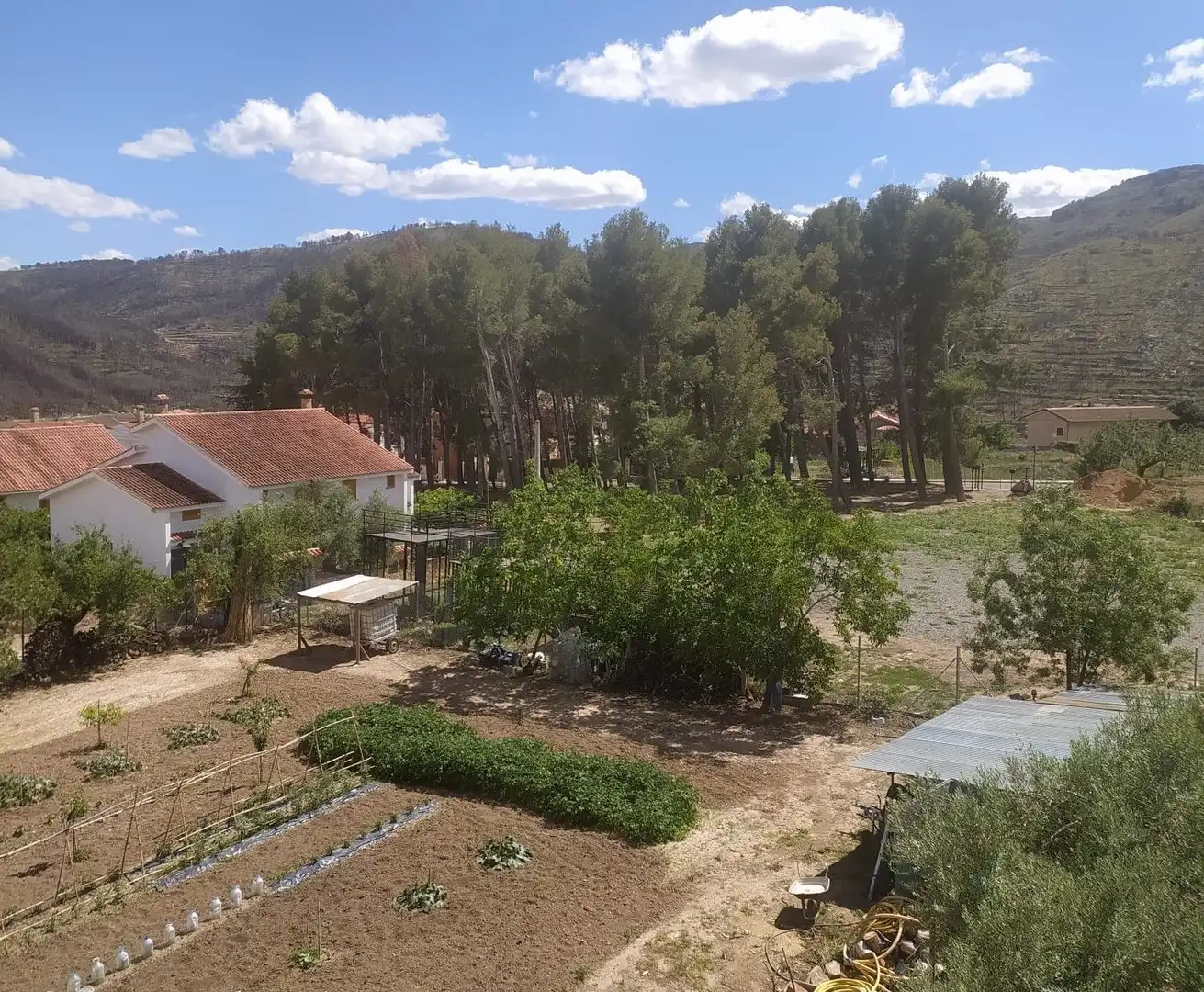 Garden of Flat for sale in Bejís