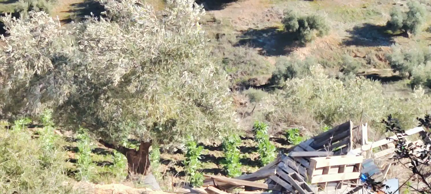 Casa rústica en venda a Puente Jontoya - Puente de la Sierra - El Arroyo, imagen 22