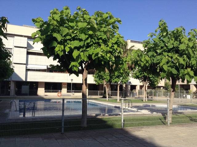 Piso en Alquiler en Carrer del Camp de Túria en Beniferri