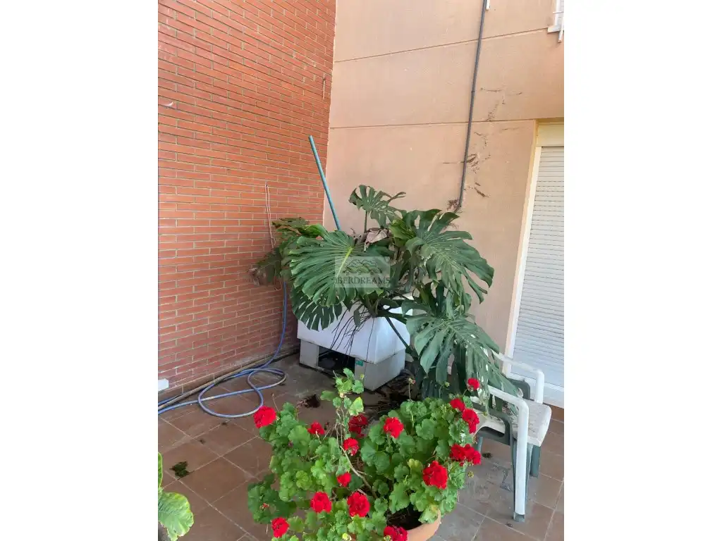 Jardín de Casa o chalet en venta en Lliçà de Vall