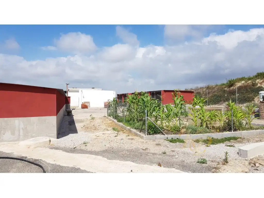 Casa en venta en Los Montesinos, imagen 18