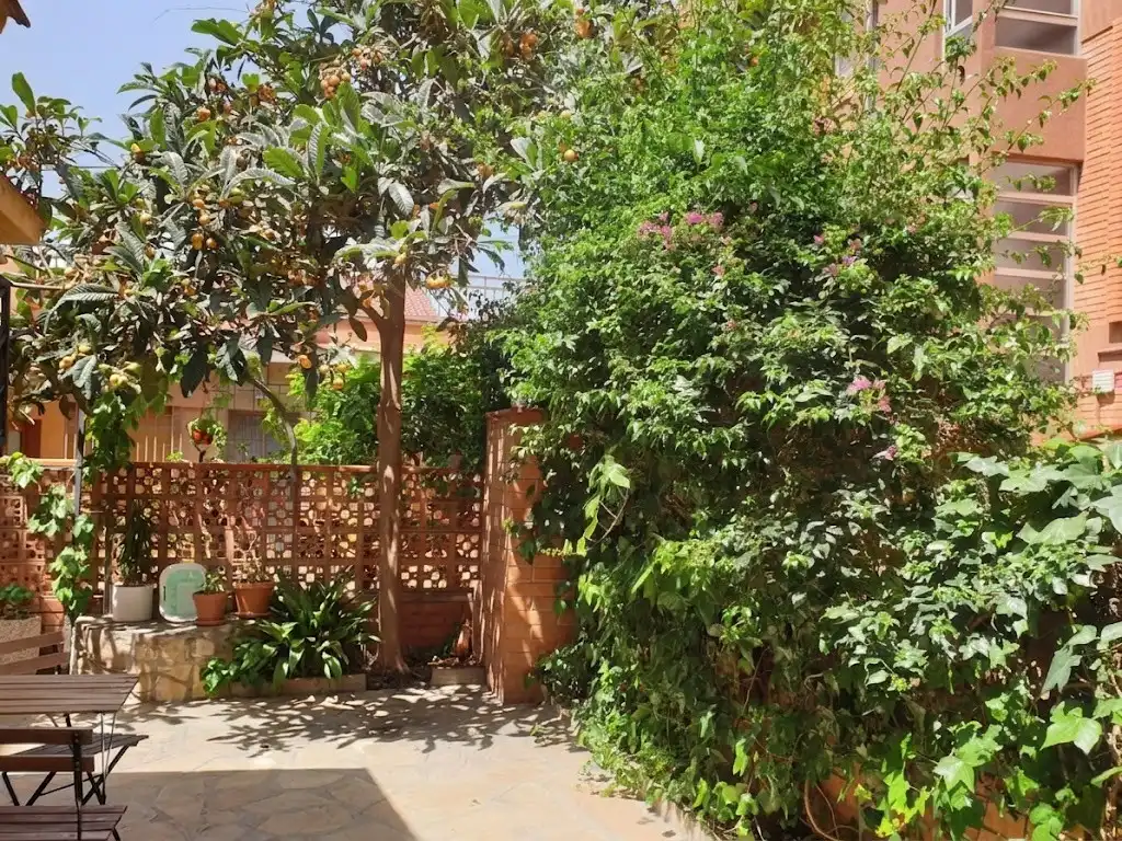 Wohnung mit Terrasse zum Verkauf in Carrer de Pedrell, imagen 23