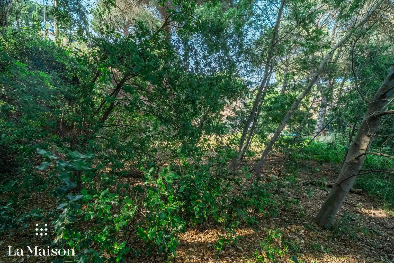 Terreno residenziale in vendita a Can Massuet del Far, imagen 13