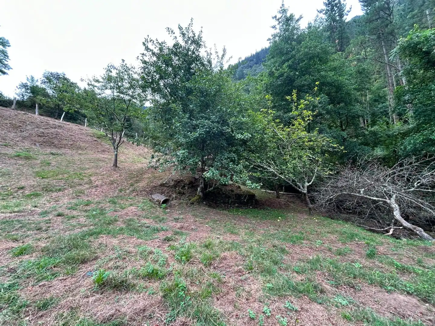 Casa o chalet en venta en Sopuerta con Jardín privado y Trastero