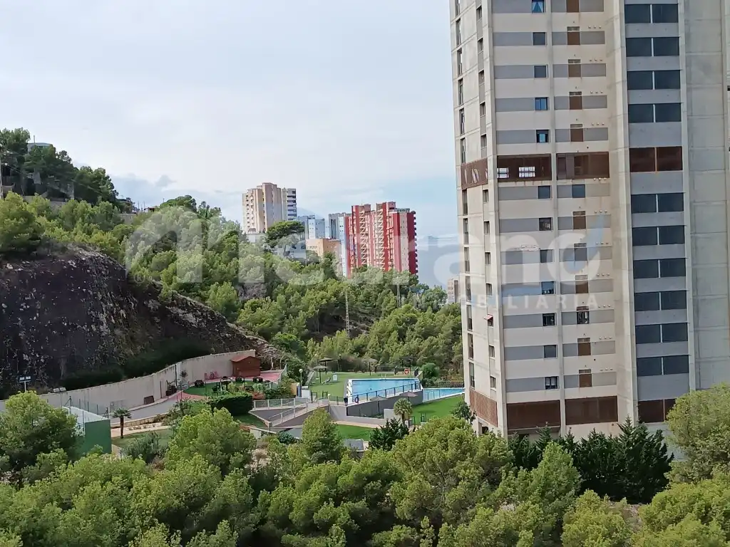Appartamento con giardino in affitto a Avenida Montecarlo, imagen 2