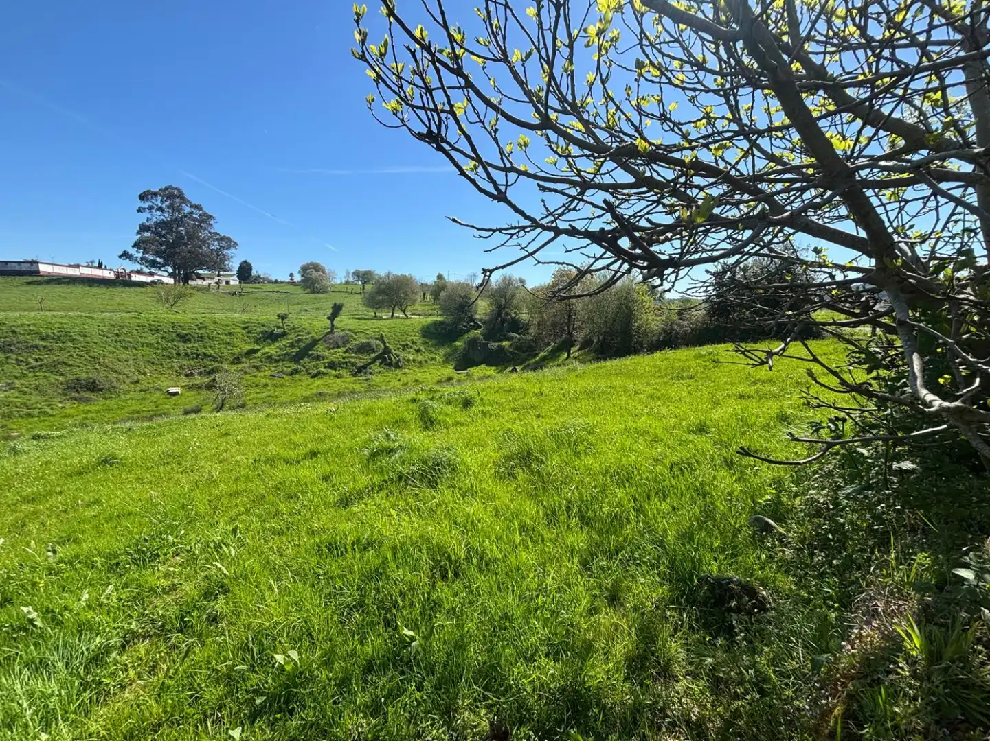 Lands and plots for sale in Polanco - BO EL RIEGO 4, imagen 6