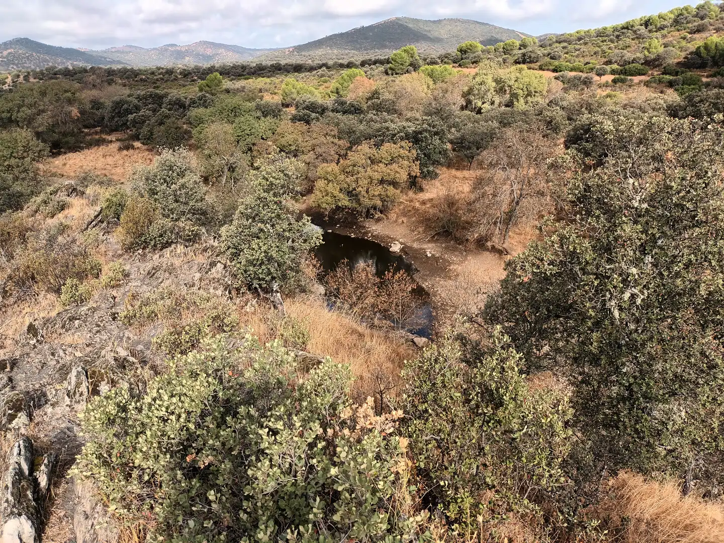 Land for sale in Vilches