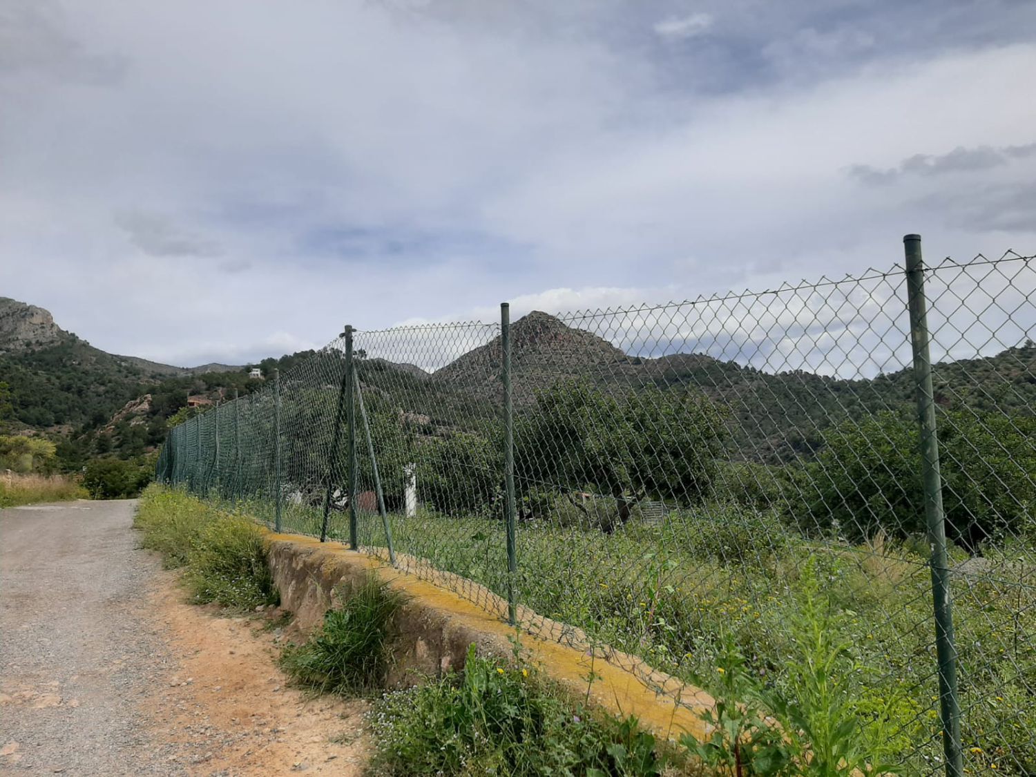 Exterior view of Country house for sale in La Vall d'Uixó