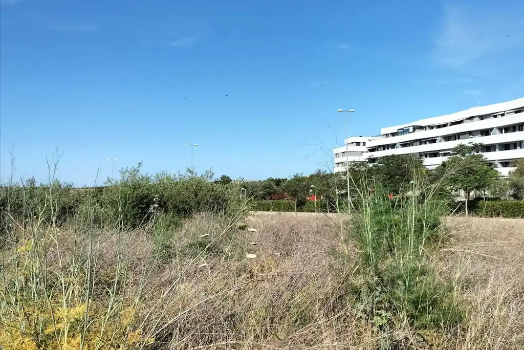 Terreni e lotti in vendita a Carretera de Palomares, imagen 5