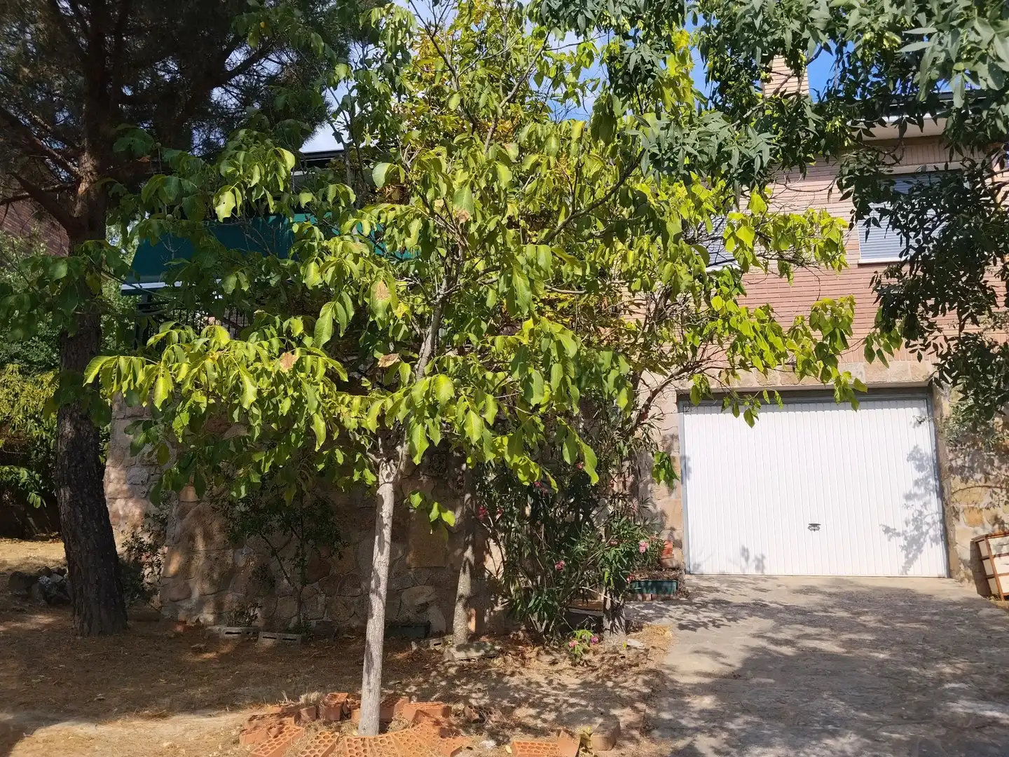 Casa amb jardí en venda a Colmenarejo, imagen 56