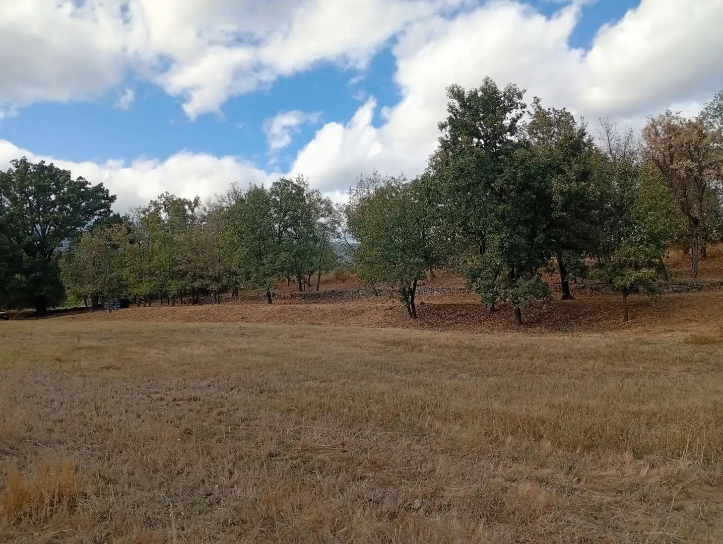 Terreni e lotti in vendita a Villanueva de la Vera, imagen 71