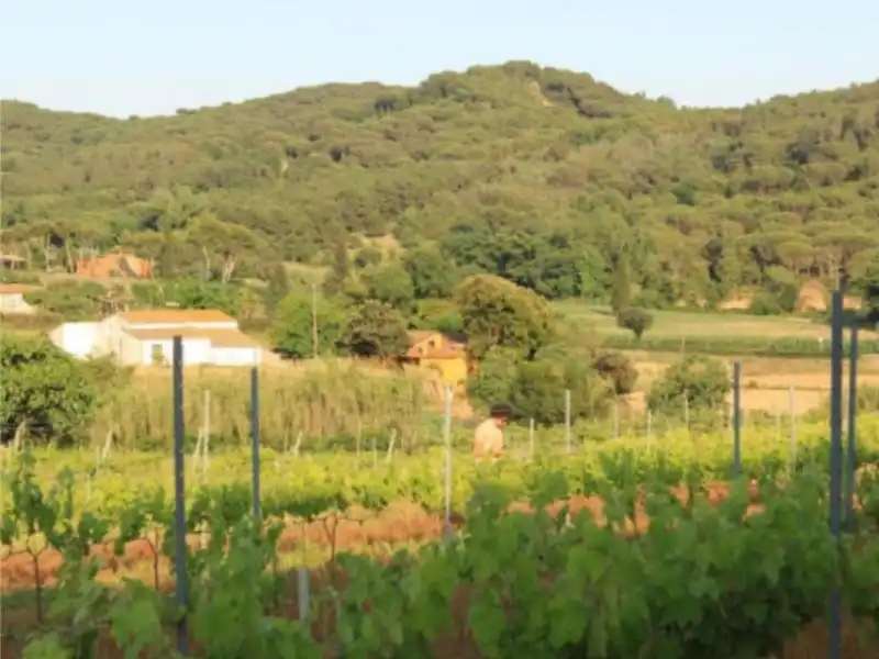 Maison à vendre à Tordera pueblo, imagen 2