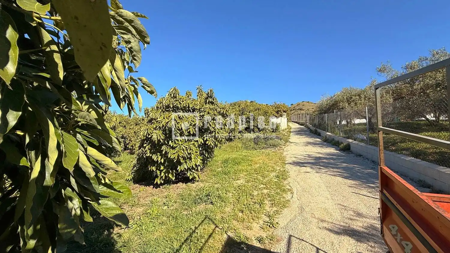 Casa con jardín en venta en Diseminados, imagen 36