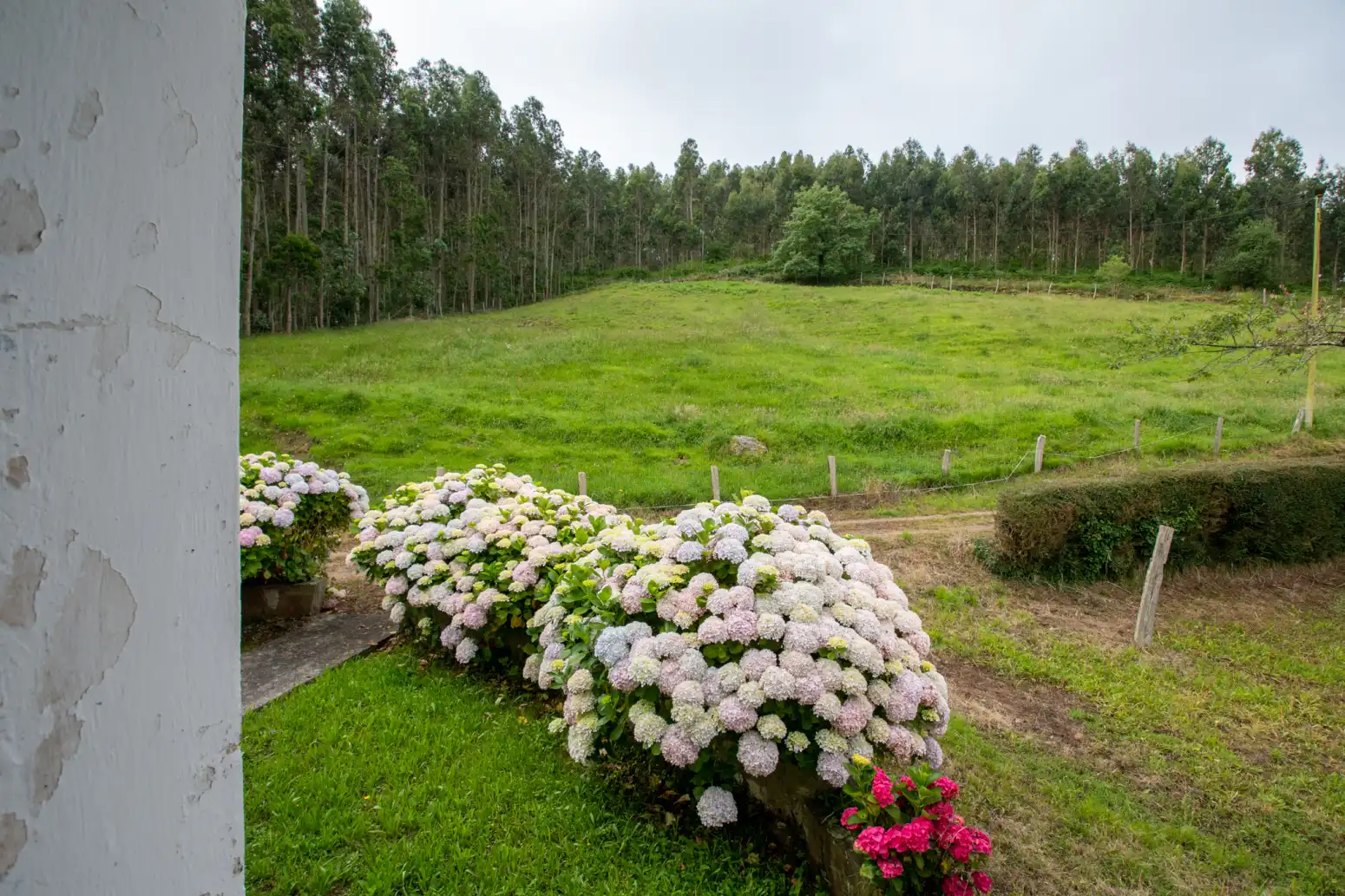 Garden of Houses for sale in Villaviciosa  with Private garden
