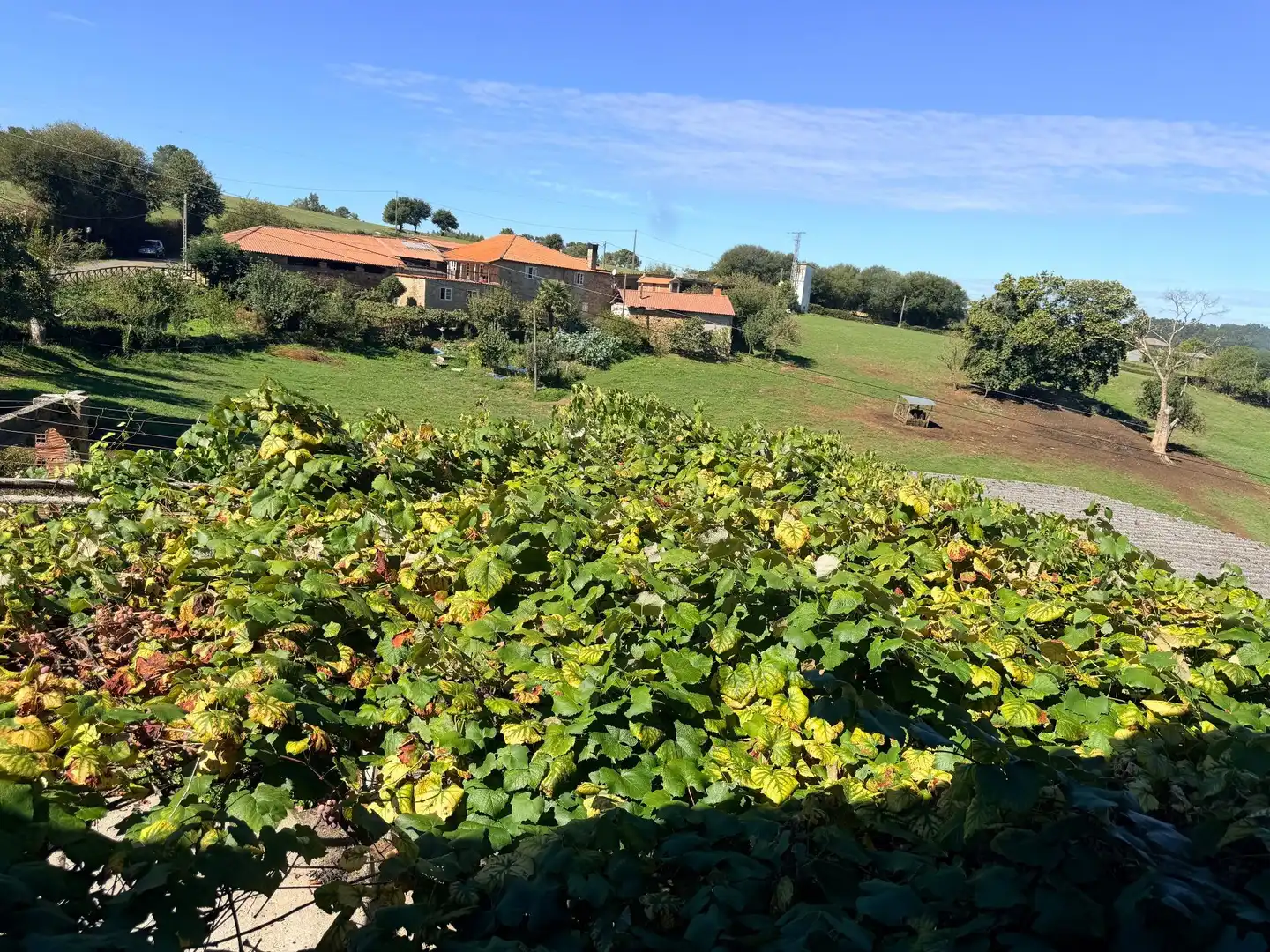 Casa en venta en Silleda, imagen 19