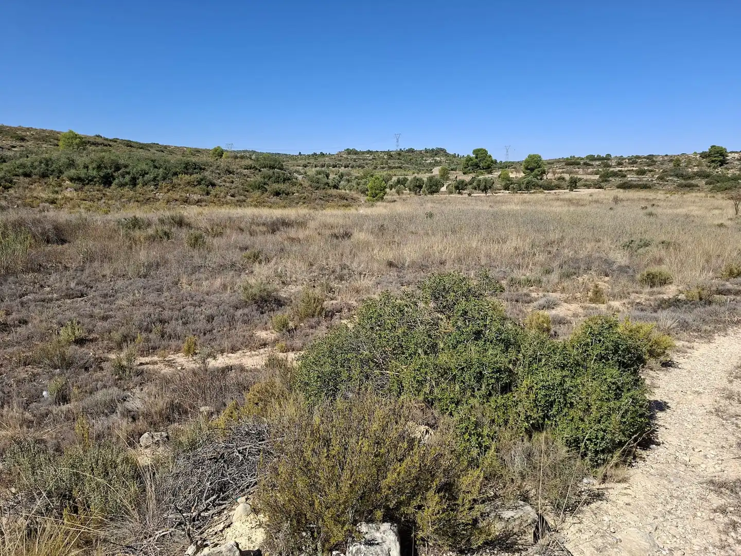Terreno rustico in vendita a N/A, imagen 3