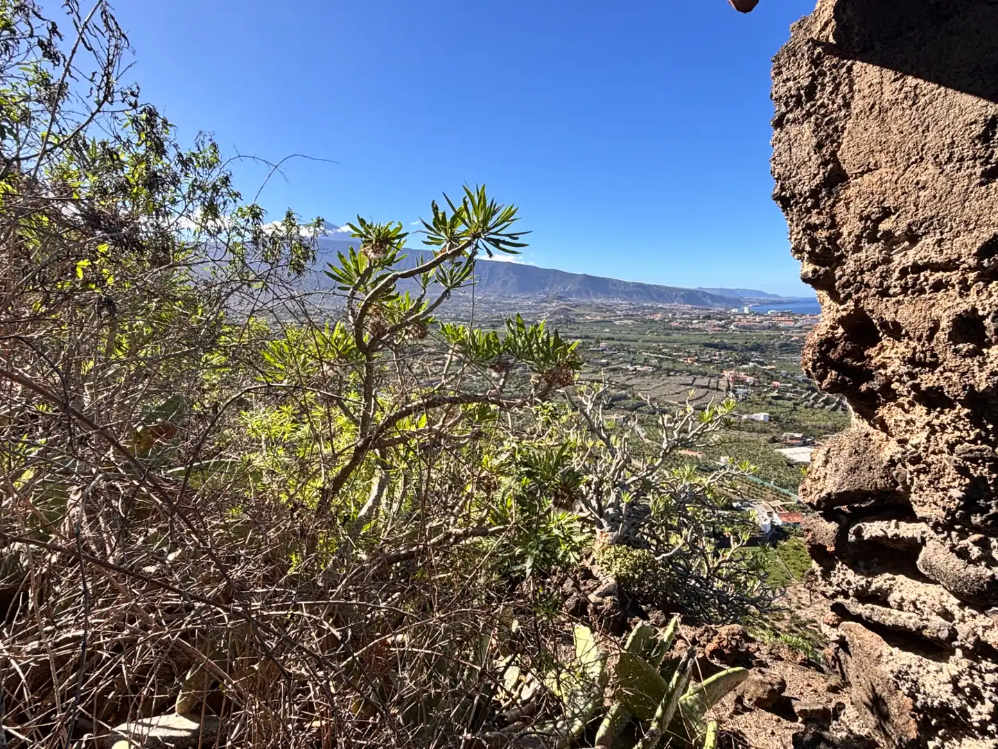 Terreno rustico in vendita a Camino de San Diego, imagen 23