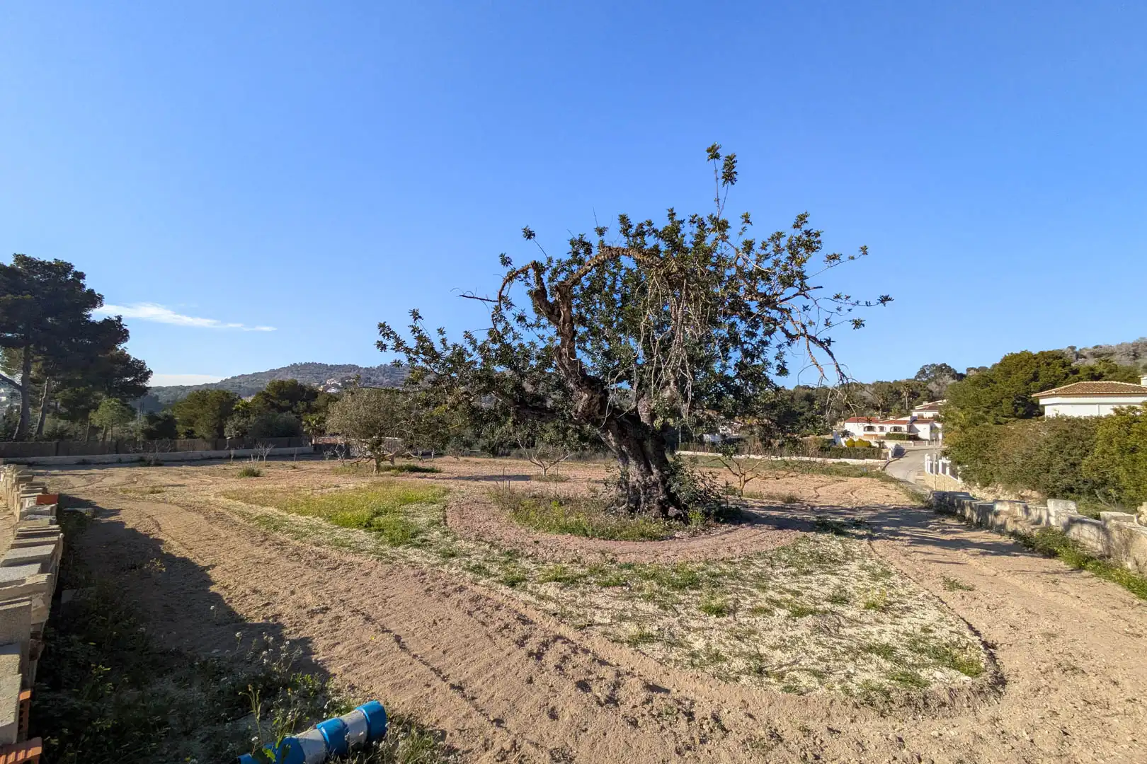 Casa in vendita a Montgó - Ermita, imagen 43