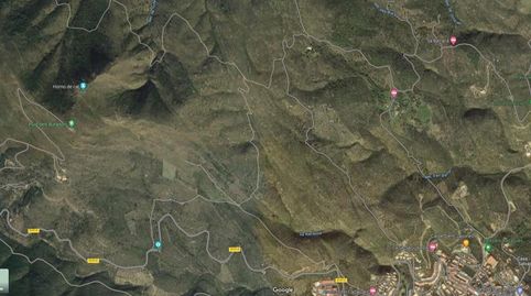 TERRENO RÚSTICOOlivar en la zona de Mas de Sa Senyora.Superficie del terreno 11.411 m2, immagine 2