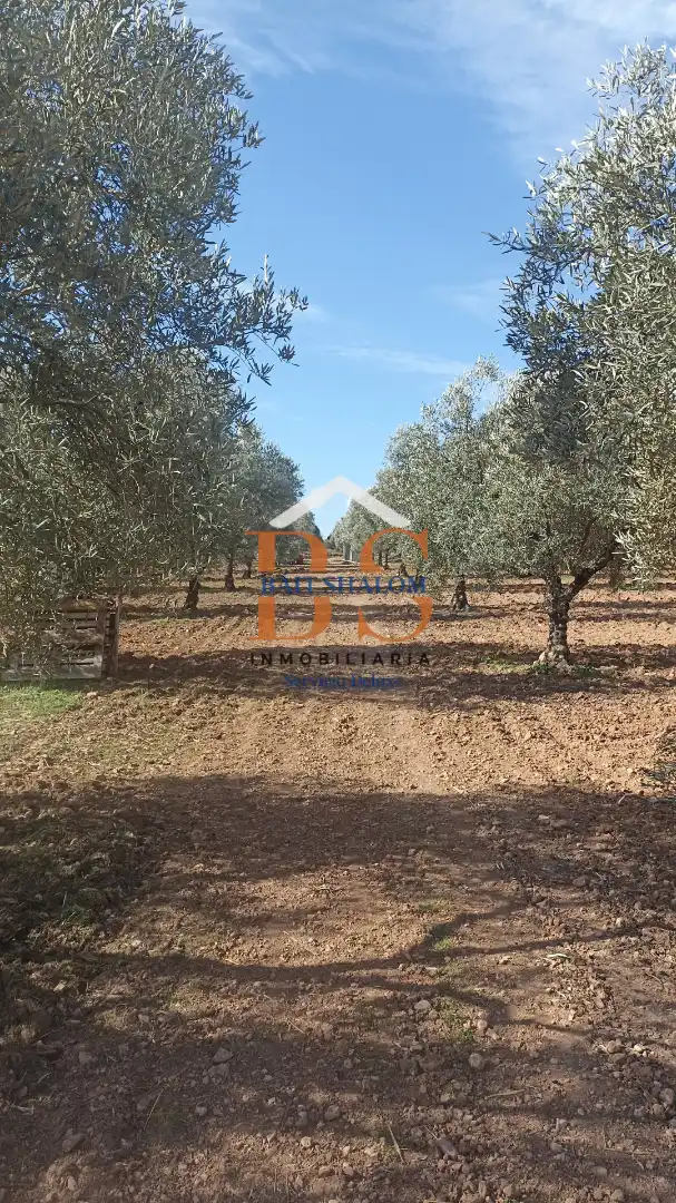 Terreni e lotti in vendita a Centro, imagen 9