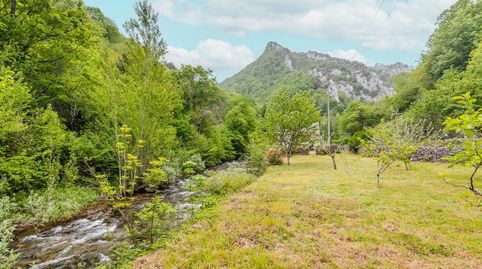 Photo 5 of Detached homes for sale in Lugar Castro, 3, Somiedo, Asturias