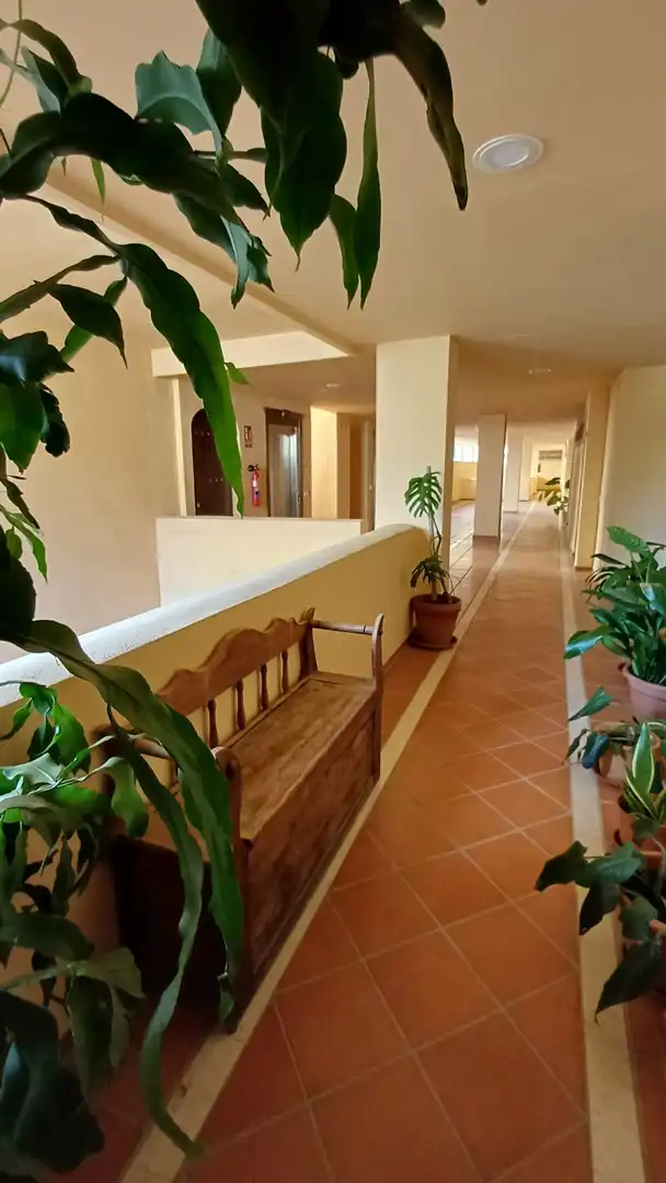 Piso con piscina en venta en Hiedra, imagen 18