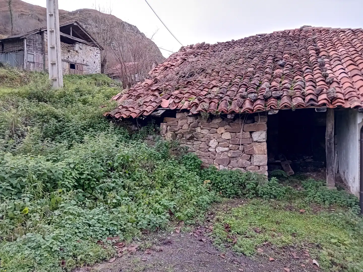 Vista exterior de Finca rústica en venta en Amieva