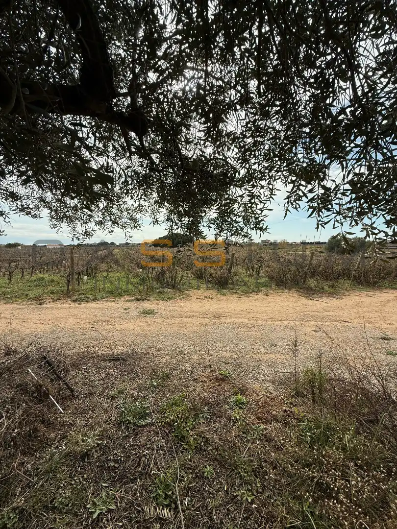 Rural land for sale in Sant Salvador, imagen 26