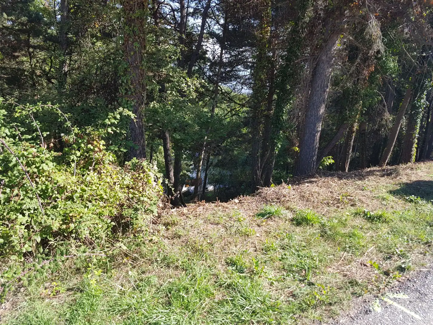 Residential land for sale in Carrer Vilafort 363, imagen 3