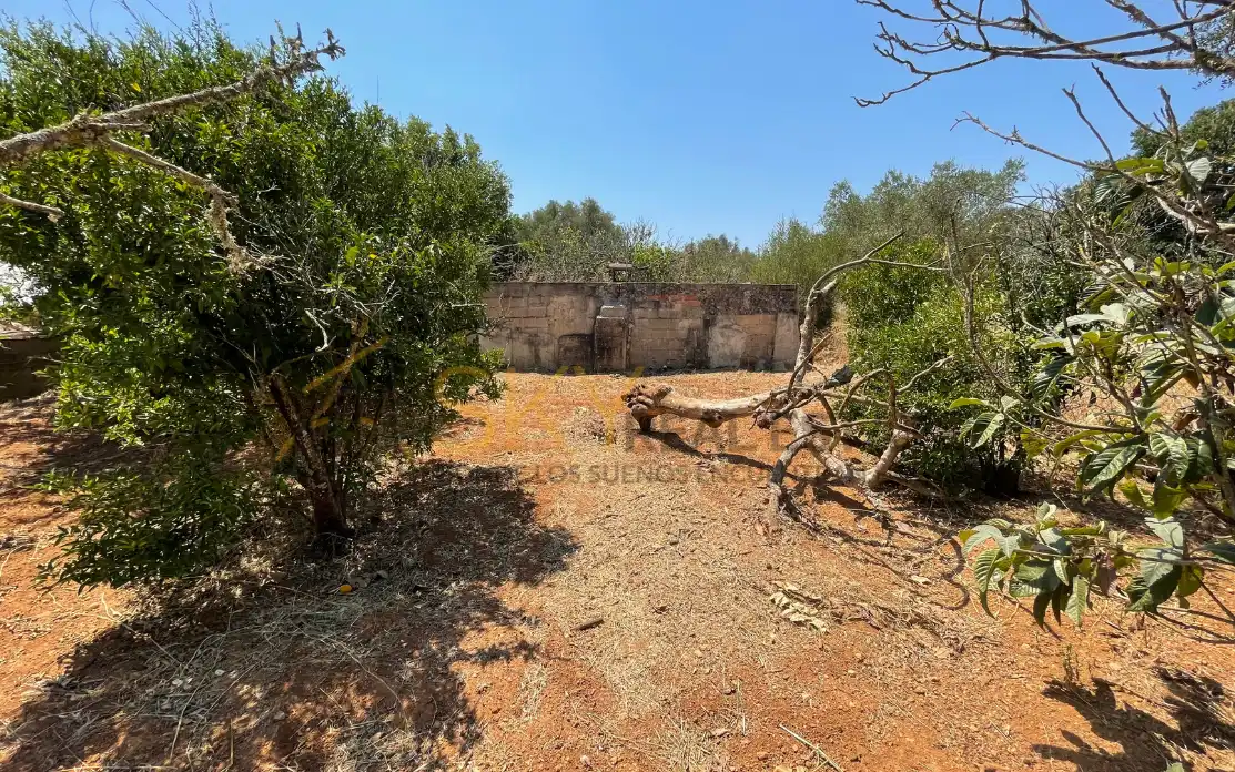 Terrain rustique à vendre à N/A, imagen 11