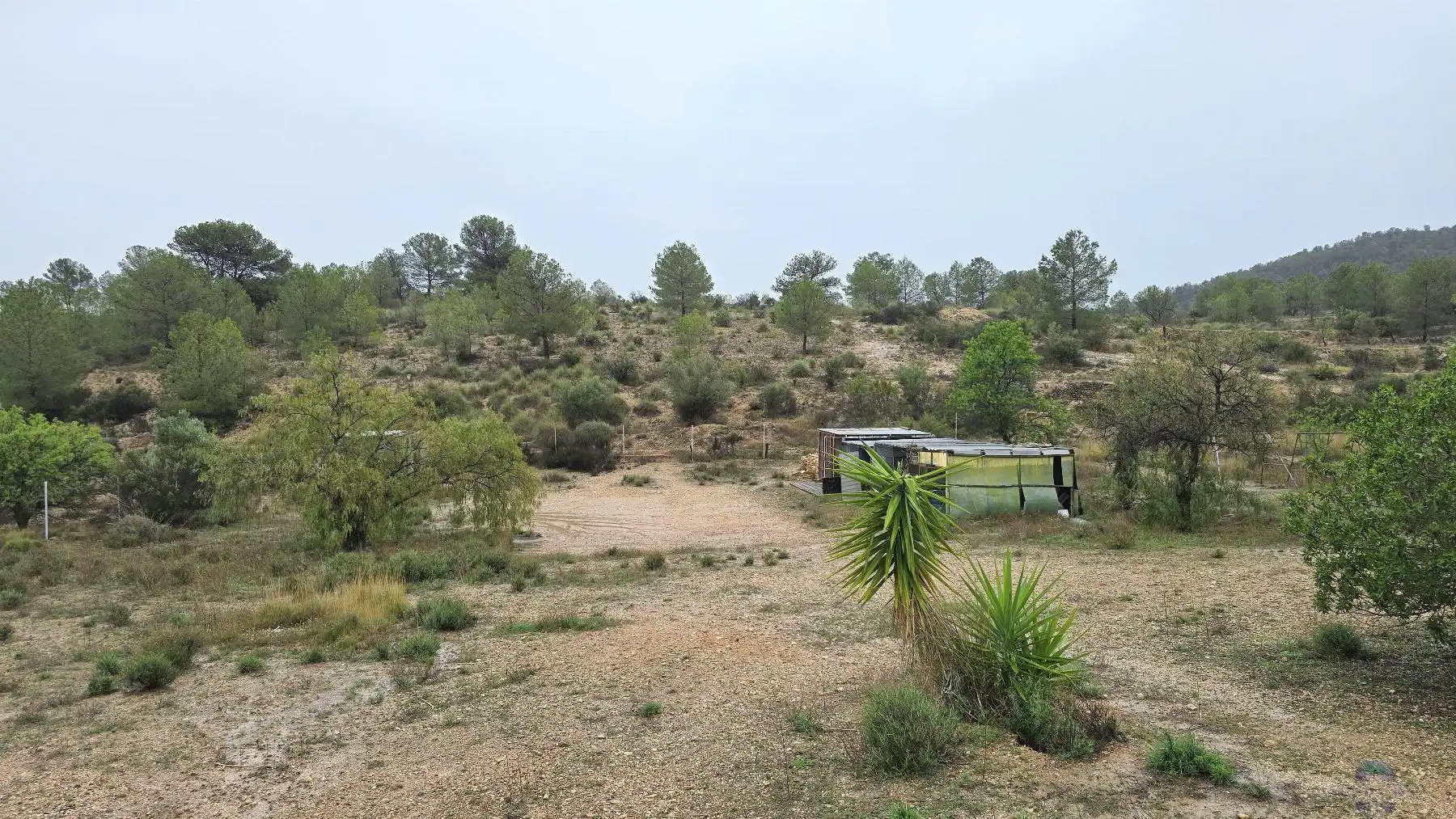Houses for sale in Monóvar  / Monòver  with Storage room