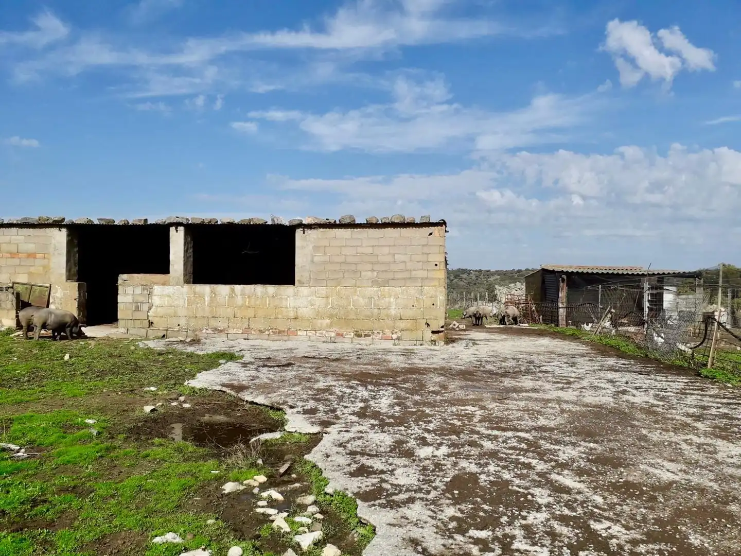 Rural land for sale in Fuente Obejuna, imagen 7