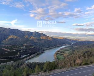 Land for sale in Miravet