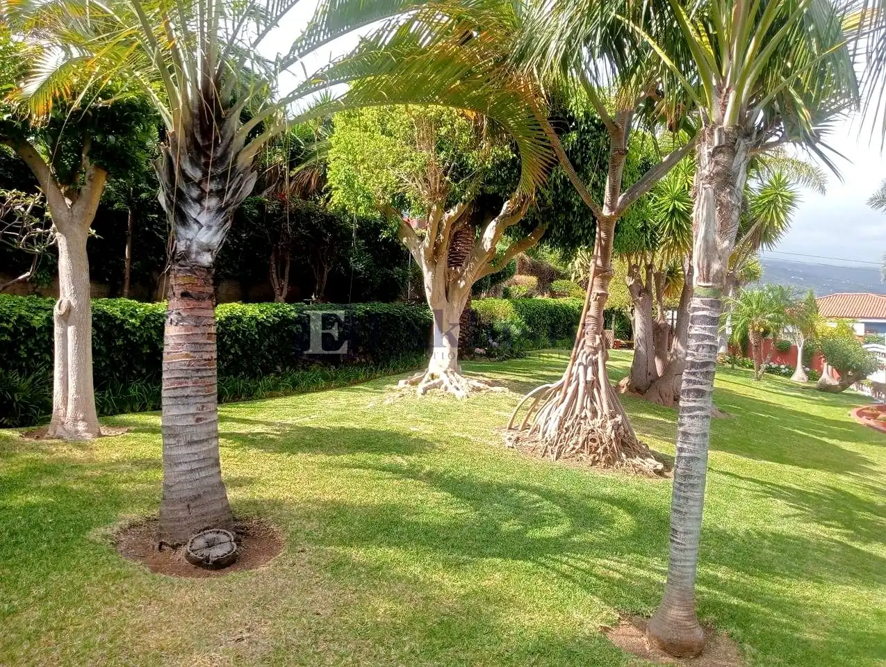 Garden of Houses for sale in La Orotava  with Air Conditioner, Private garden and Terrace