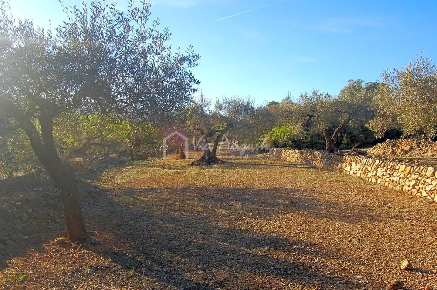 Terreno rustico in vendita a Burgà, imagen 6