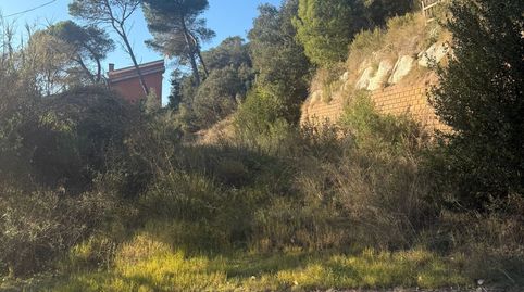 PARCELA EN VENTA EN VALLROMANES, immagine 3