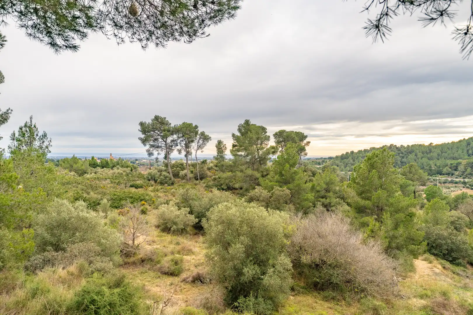 Finca rústica en venda en Les Borges del Camp amb Jardí privat, Terrassa i Traster