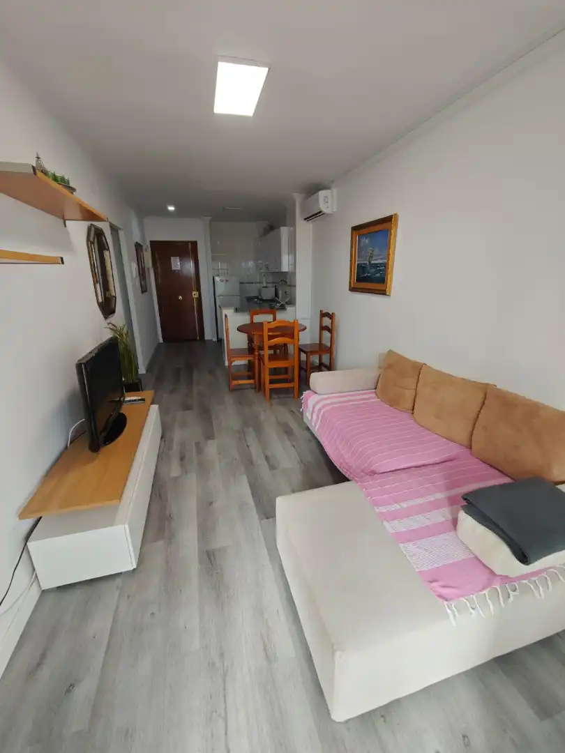 Sala d'estar de Apartament de lloguer en Alicante / Alacant amb Aire condicionat, Calefacció i Terrassa