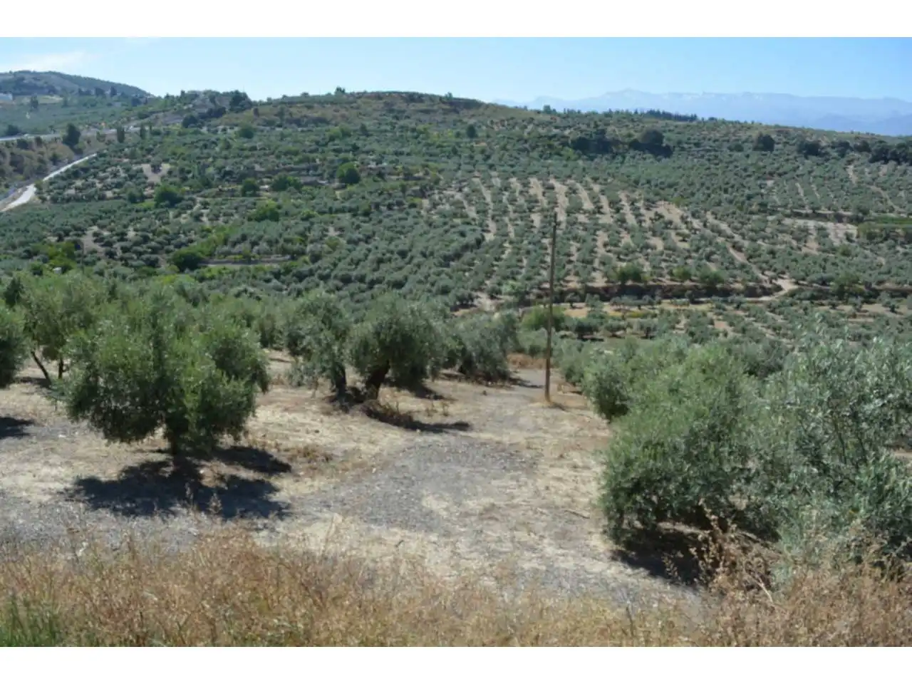 Lands and plots for sale in Plaza Iglesia 1, imagen 15