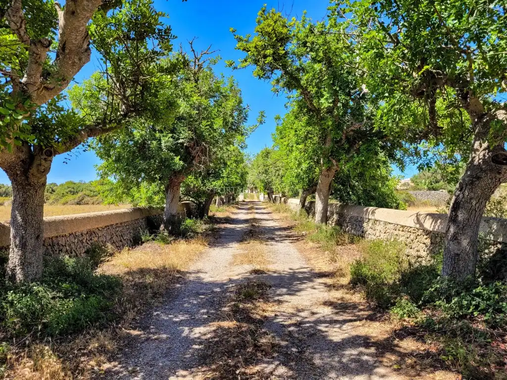 Maison rustique à vendre à Camí d'En Kane, Santa Rosa de Llima, imagen 5